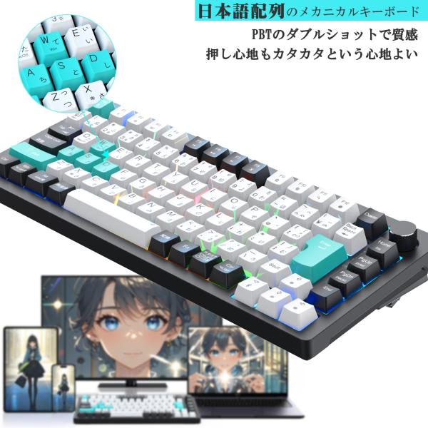 クーポンで10%OFF+P5倍 メカニカルキーボード 日本語配列とカナ印字一体 ガスケットゲーミング...