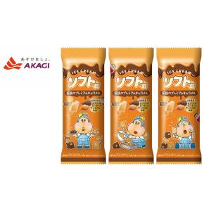 赤城乳業　ソフト君 伝説のプレミアムキャラメル　95ｍｌ×24本入　アイスクリーム｜tybay-store