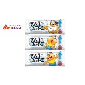 赤城乳業 アイス ガリガリ君 白いサワー 105ml×32+1入 氷菓