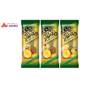 赤城乳業 アイス 大人なガリガリ君ゴールデンパイン 100ml×24本入 氷菓