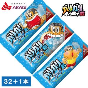 赤城乳業 ガリガリ君リッチフルーツフェスティバル 100ml×24本