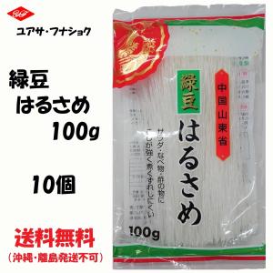ユアサ フナショク 緑豆はるさめ 100g 10個