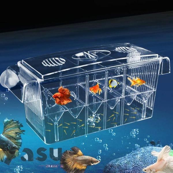繁殖隔離ボックス 多機能産卵箱 育成用 魚 飼育 水槽 魚卵 孵化 安全 大容量 稚魚保護 攻撃を防...