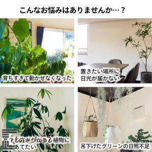 植物育成ライト LED 4灯 スタンド 太陽光...の詳細画像2