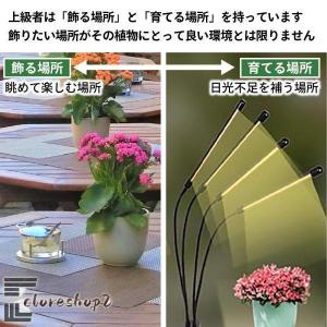 植物育成ライト LED 4灯 スタンド 太陽光...の詳細画像3