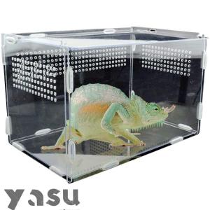 飼育ケース 爬虫類・両生類用飼育ボックス 昆虫飼育ケース 爬虫類 ケージ 爬虫類飼育ボックス 飼育容器 透明 アクリル製 ンク 両生類用飼育ケース