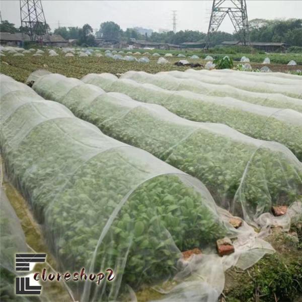防虫ネット 防虫シート 防虫網 プランター 虫除けネット ガーデニング 家庭菜園 トンネル植物保護ネ...