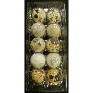 うずら卵　有精卵 20パック（200個）入