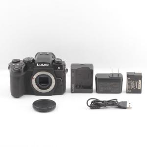 パナソニック ミラーレス G99D ボディの買取情報