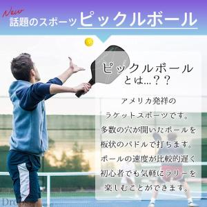 【1本】ピックルボール パドル 単品 ラケット...の詳細画像1