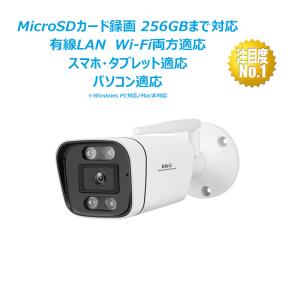 LIXIL ホームネットワークシステム 屋外カメラ 電源直結式 8KCA03ZZ