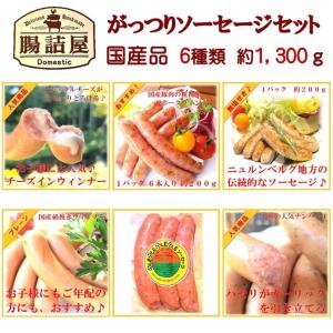 たっぷり ソーセージ 詰め合わせ ギフト セット 御礼