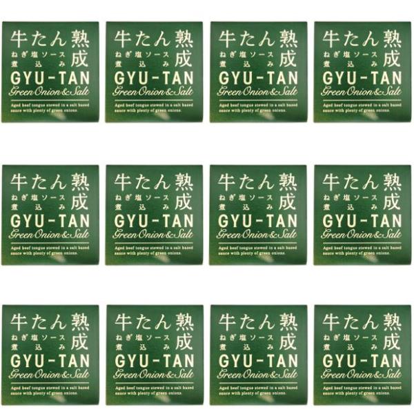 12缶セット 牛たん ネギ塩 ソース 煮込み１缶 固形量 80ｇ 総量 170ｇ ねぎ 葱