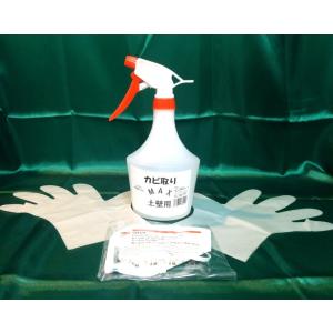 カビ取りMAX 土壁・砂壁用 Lサイズ 750ml