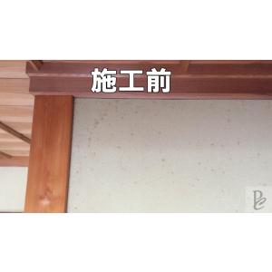 【強力】カビ取りMAX 土壁・砂壁用 Lサイズ...の詳細画像1