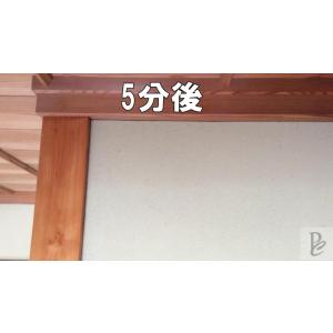 【強力】カビ取りMAX 土壁・砂壁用 Lサイズ...の詳細画像2