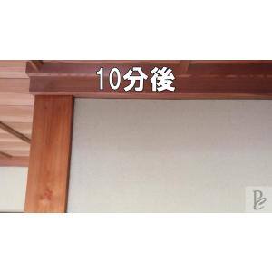 【強力】カビ取りMAX 土壁・砂壁用 Lサイズ...の詳細画像3