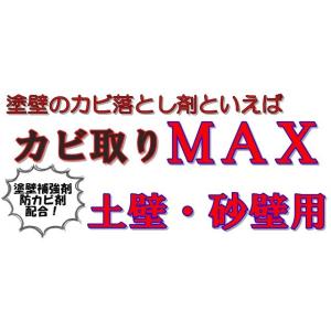 【強力】カビ取りMAX 土壁・砂壁用 Lサイズ...の詳細画像4