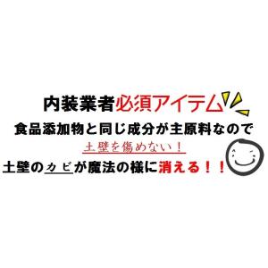 【強力】カビ取りMAX 土壁・砂壁用 Lサイズ...の詳細画像5