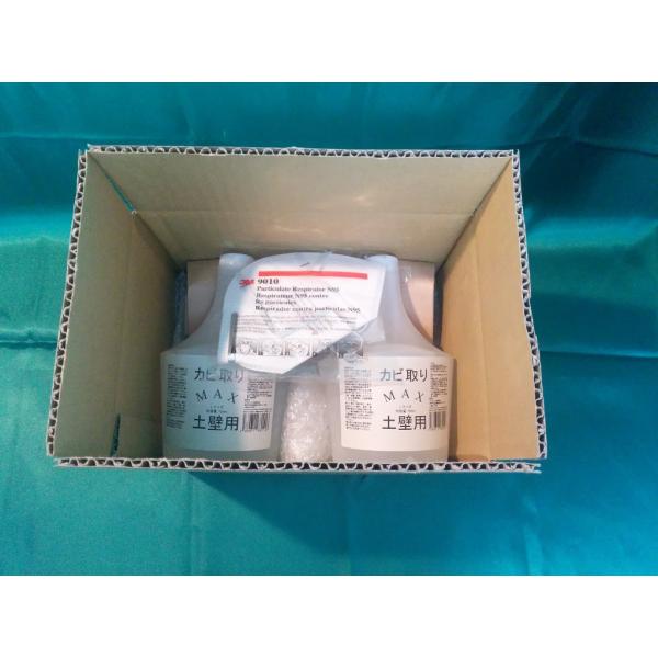 【強力】カビ取りMAX 土壁・砂壁用 Lサイズ 750ml x 2本セット