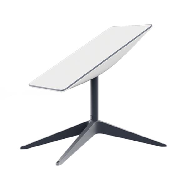 STARLINK レンタル 2日間