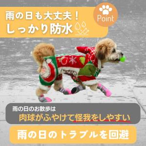 犬 靴 小型犬 ドッグシューズ 脱げない 大型...の詳細画像5