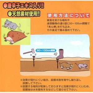 モグラ 忌避剤 ネズミ 対策 来ん棒 10本入...の詳細画像2