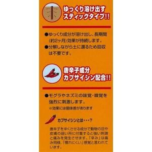 モグラ 忌避剤 ネズミ 対策 来ん棒 10本入...の詳細画像4