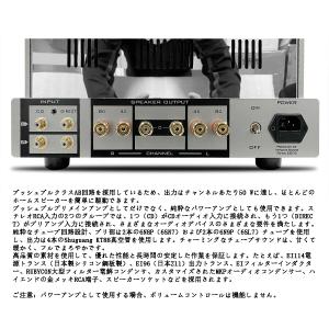 HiFi クラスAB KT88 真空管 パワー...の詳細画像2