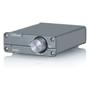 Douk Audio Mini デジタル パワーアンプ HiFi TPA3116 ステレオ 2.0チャンネル オーディオアンプ チタン色  50W + 50W ブラック 100Ｗ+100Ｗ 電源アダプター付き