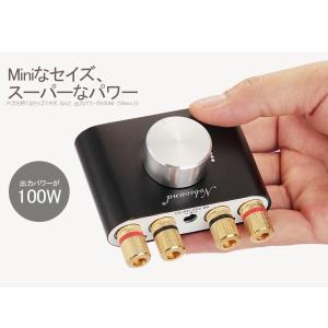[新商品] Nobsound NS-01G P...の詳細画像4