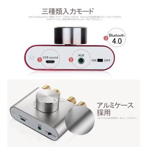 [新商品] Nobsound NS-01G P...の詳細画像5