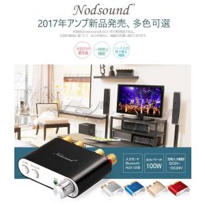 【次世代!!!】Nobsound NS-10G...の詳細画像1