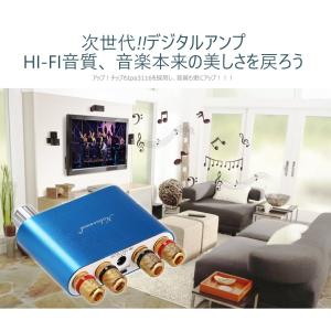 【次世代!!!】Nobsound NS-10G...の詳細画像2