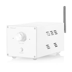 Nobsound HiFi 600W モノラルチャンネル デジタル アンプ