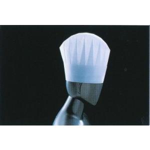 パリス　ライトハット（10枚入）N33110　全高:235mm