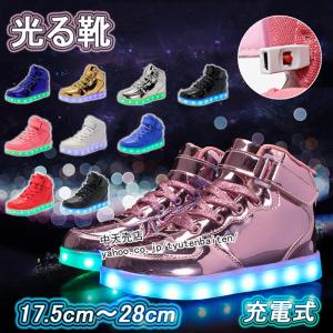 スニーカー 光る靴 歩きやすい 子供 大人 充電式 Ledシューズ ランニング 光るシューズ ダンス 17 5cm 28cm 小さいサイズ 大きいサイズ 親子シューズ 10色 Fgxjy 中天売店 通販 Yahoo ショッピング
