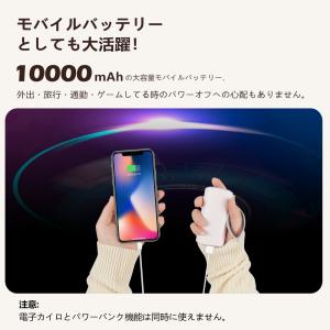 カイロ 充電式 電気カイロ USB かわいい ...の詳細画像4