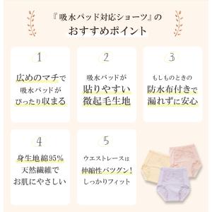 ショーツ 吸水パッド対応 専用 尿漏れ 尿取り...の詳細画像3