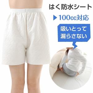 はく 防水シート 吸いとって漏らさない 100cc対応 内側吸水 外側防水 M L LL 男女兼用 防水シーツ すいとるオムツコート介護紙パンツの上にオムツカバー｜レディースインナーゆめはん