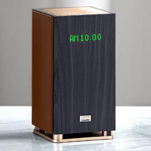 アナバスオーディオ イージーリスニングモデル