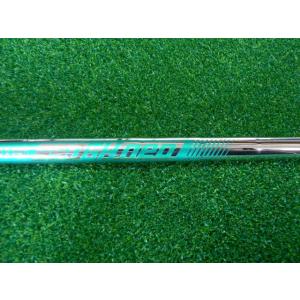 Titleist（タイトリスト） タイトリスト2024 TSP120 50-Sシャフトのみ