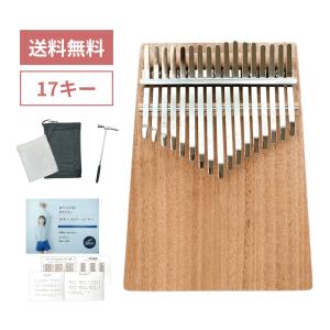 GECKO カホン Cajon スナッピー調節可能ダイヤル付 打楽器 木製 金色