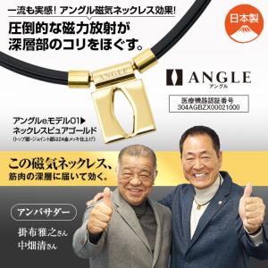 アングル e.モデル 01 ネックレス プラチ...の詳細画像1