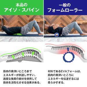 アイソ スパイン iso spain 背中 腰...の詳細画像3