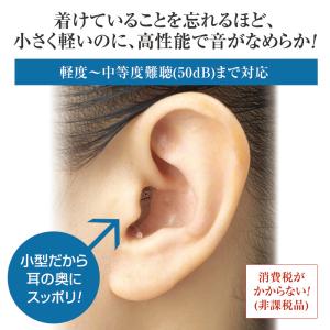 エーストーンフィット2(両耳用)【通常】の詳細画像1