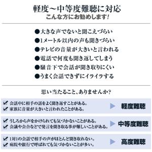 エーストーンフィット2(両耳用)【通常】の詳細画像2