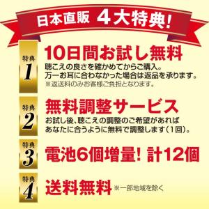 アクトス 外耳道 レシーバー 補聴器 ACTO...の詳細画像4