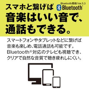 ワイヤレスイヤホン型 集音器 みみサポ スマー...の詳細画像3