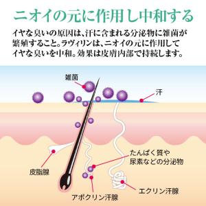 薬用デオドラントクリーム ラヴィリン フット ...の詳細画像4